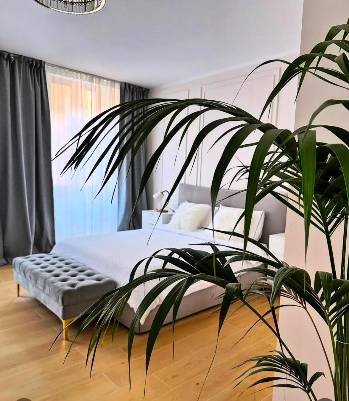 Luna Luxury Suite Μπέργκαμο Εξωτερικό φωτογραφία